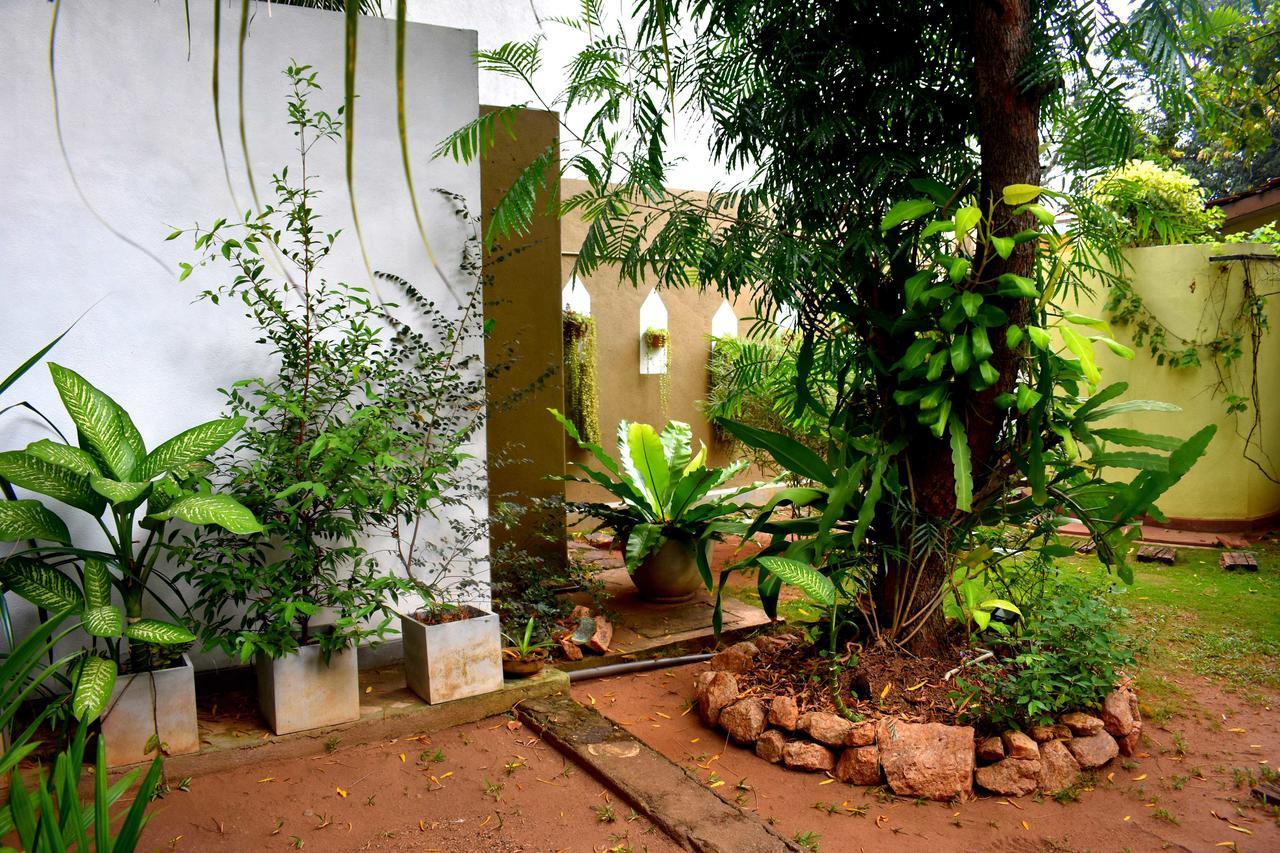 Villa Tulip Garden Anuradhapura Ngoại thất bức ảnh