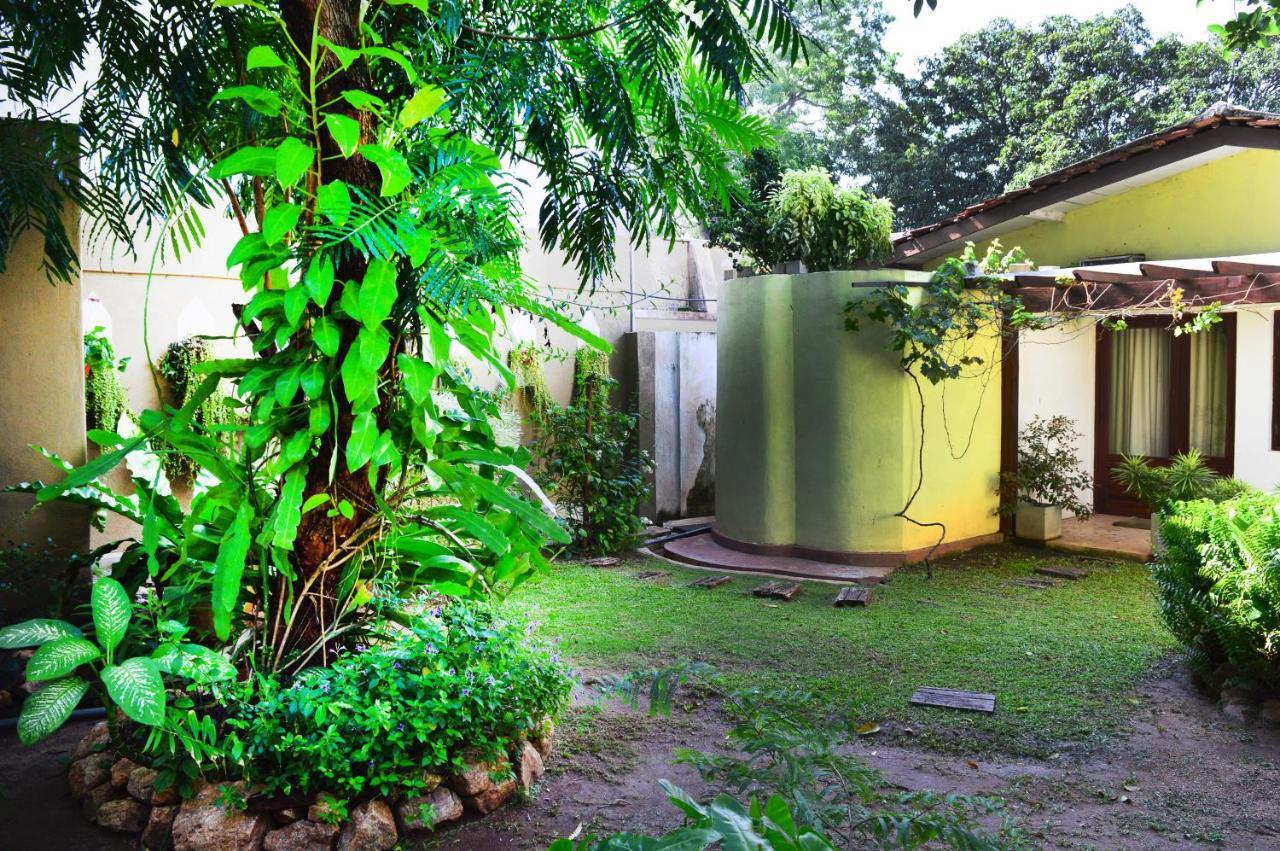 Villa Tulip Garden Anuradhapura Ngoại thất bức ảnh